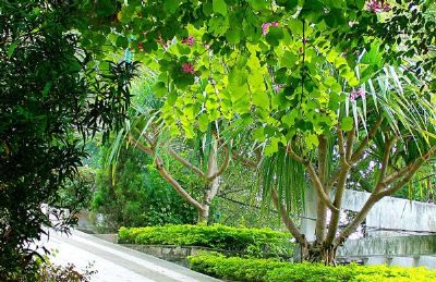 秀美福建,景點推薦