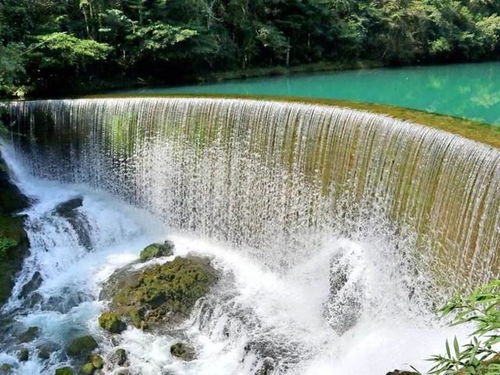 游覽行為是否文明反映一個人的素質(zhì)