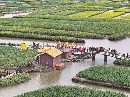 中國文明網(wǎng)聯(lián)盟 泰州站