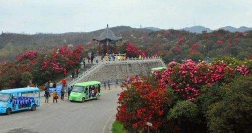 畢節(jié)市百里杜鵑管理區(qū)入圍第四批全國旅游標準化試點單位